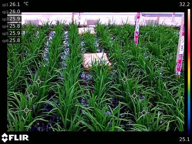 案例分析:FLIR AX8红外热像仪实时监控收集温度数据,助力农业自动化!